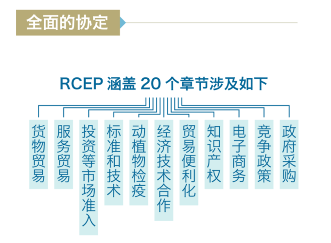 rcep 2.png